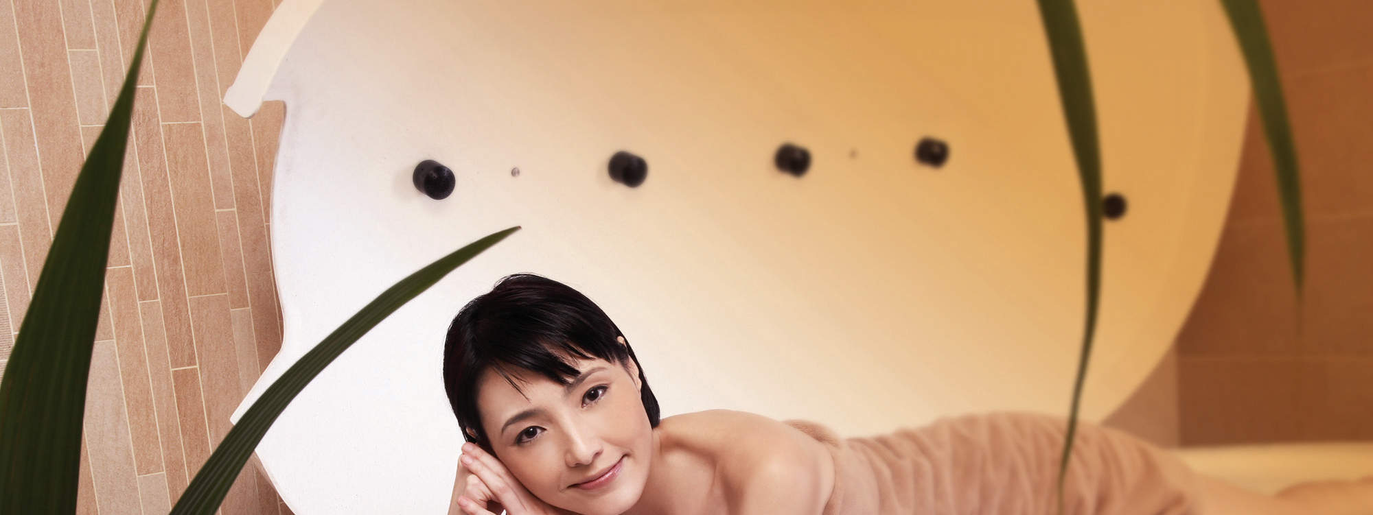 Urut Badan Ekstrak Daun Camellia Sinensis dan Kombo Pengurut Magnet